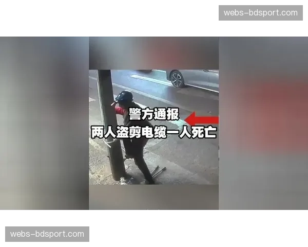 荷兰警方通报：一盗贩职业选手高端车架团伙被捣毁